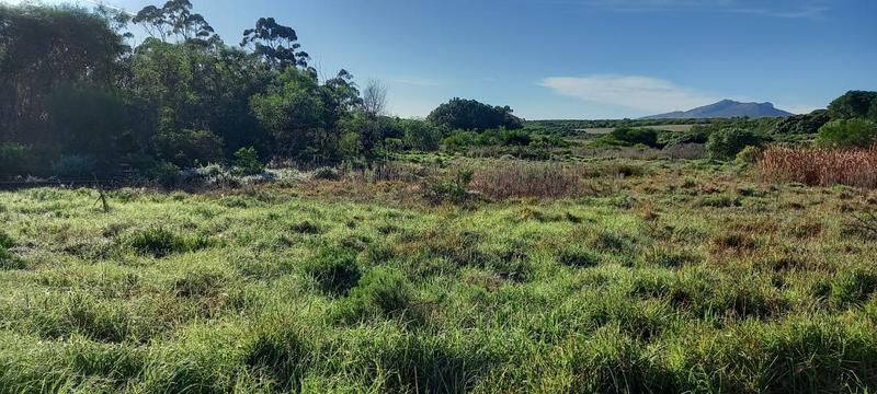 0 Bedroom Property for Sale in Albertinia Western Cape